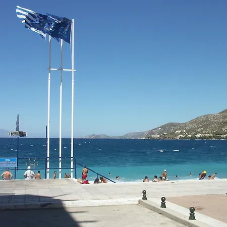 酒店 艾克塞西尔酒店 3*